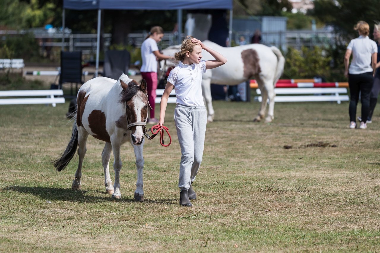 Bild 18 - Pony Akademie Turnier